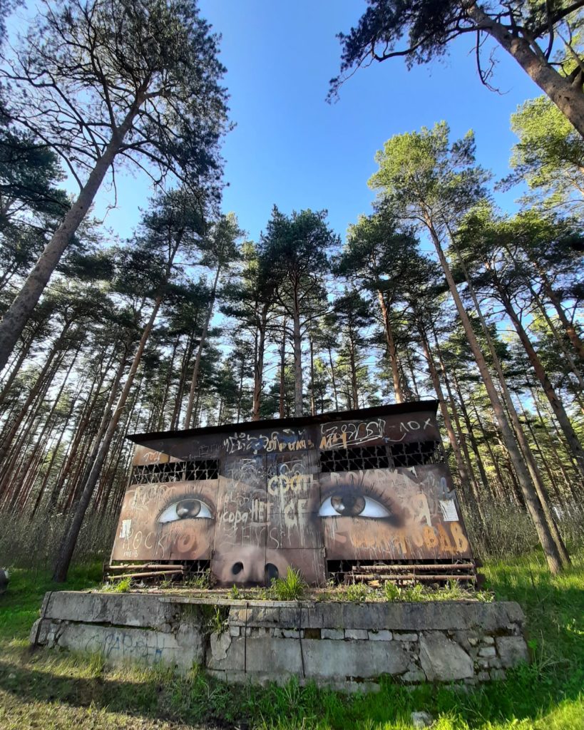 Новую картину в стиле стрит-арт создала тверская художница на стене заброшки