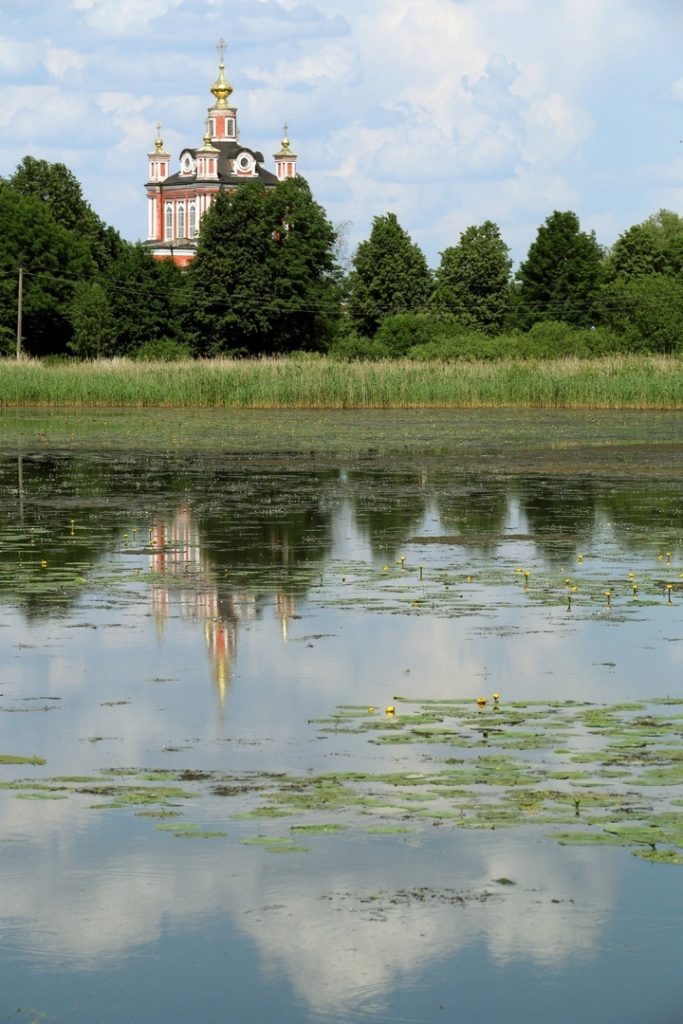 Лебеди стали визитной карточкой Торопецкого района