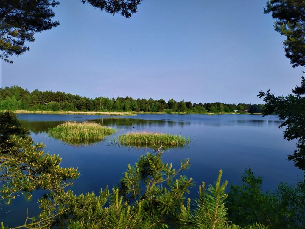 Тверская область вошла в топ популярных волжских регионов для отдыха летом