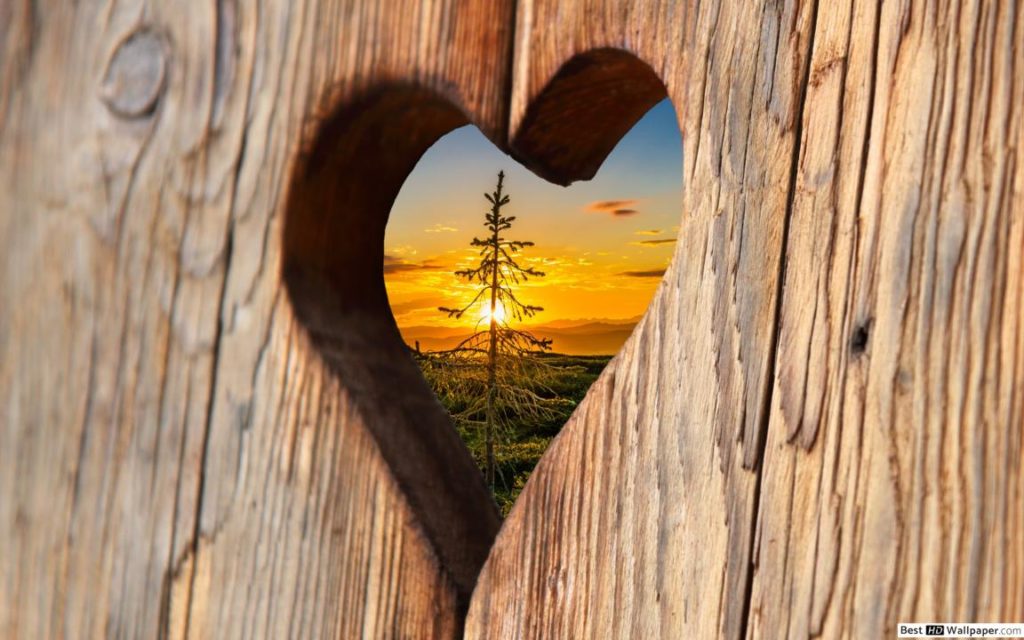 Жители Тверской области смогут признаться в любви к Родине Жители Тверской области смогут признаться в любви к Родине