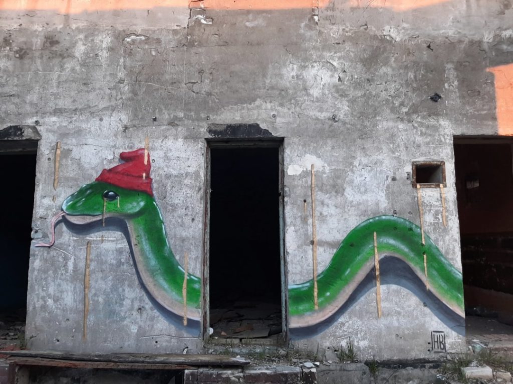 Новую картину в стиле стрит-арт создала тверская художница на стене заброшки