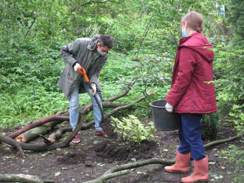 Жителей Твери приглашают навести порядок в Ботаническом саду