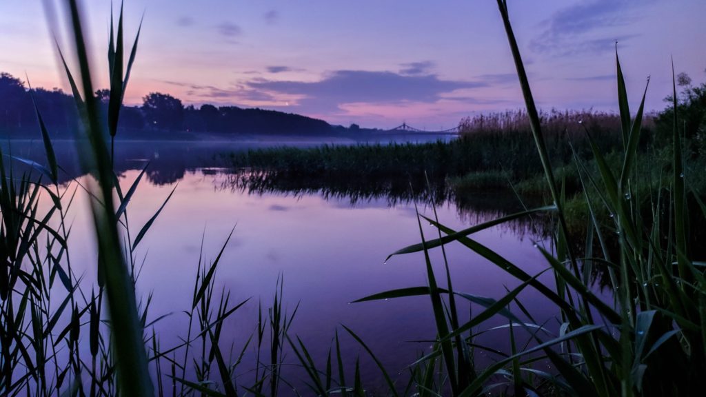 На следующей неделе в Тверскую область придет резкое похолодание На следующей неделе в Тверскую область придет резкое похолодание