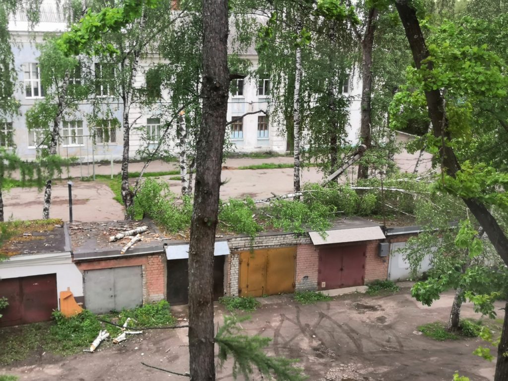 Из-за сильного ветра в Твери падают деревья Из-за сильного ветра в Твери падают деревья