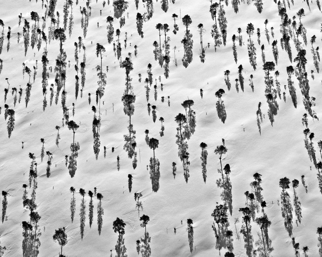 Федор Савинцев: «Мне интересно, как же эта букашка может о себе столько мнить»