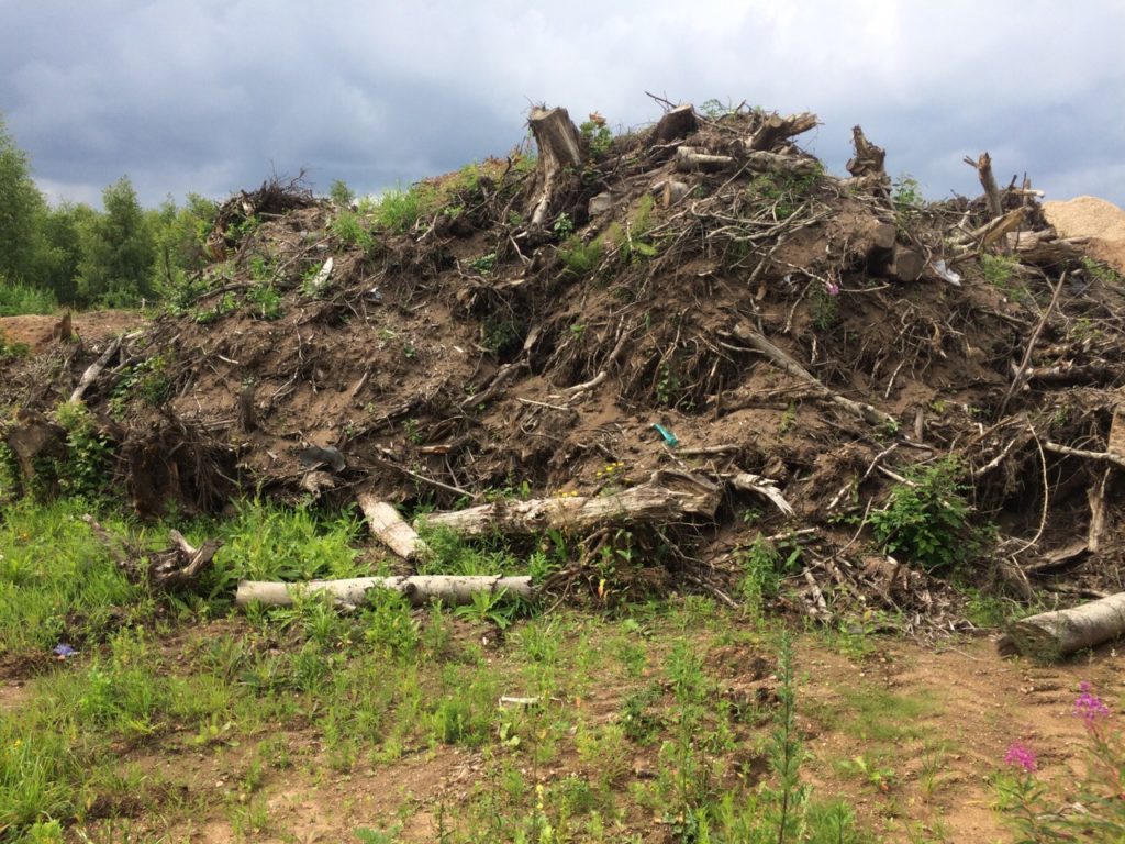 Юридическому лицу отказано в удовлетворении жалобы на решение суда за порчу сельскохозяйственных земель