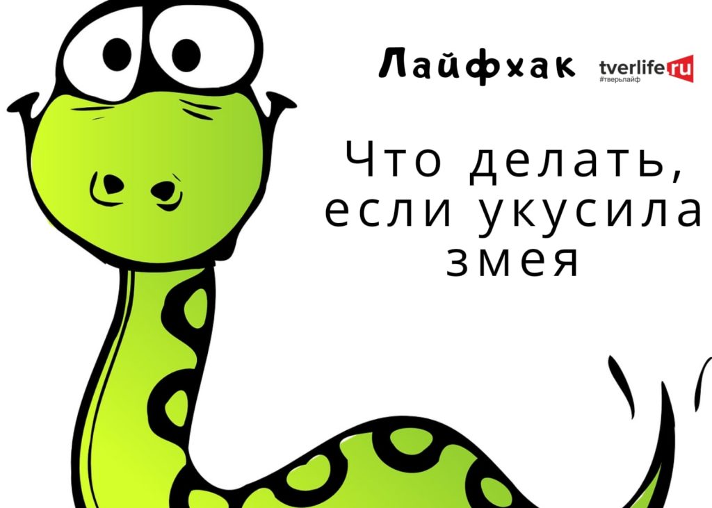 когда человек пьёт его даже змея не кусает откуда фраза. даже змея не кусает. даже змея не кусает. даже змея не кусает. не трогайте змей.