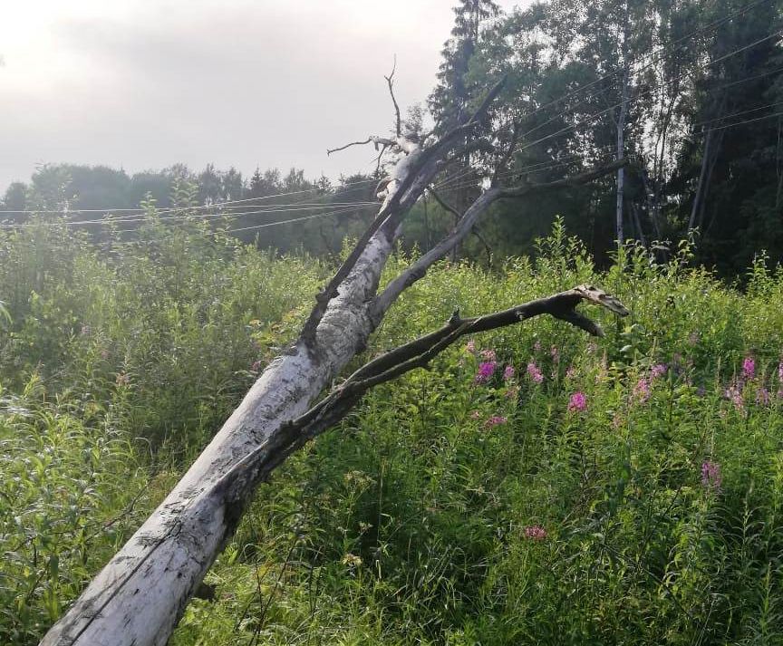 Тверские энергетики ликвидируют последствия ураганного ветра