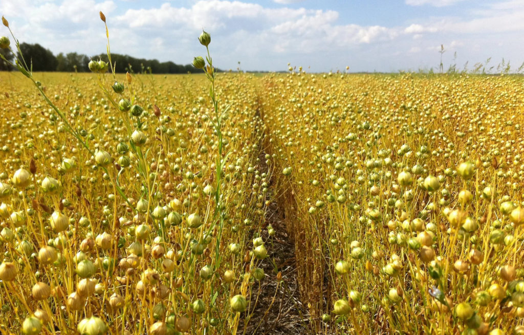 Сельское хозяйство стало инвестиционным лидером Тверской области
