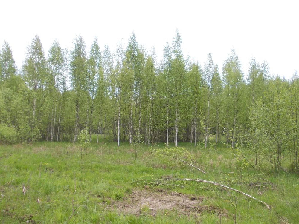 Собственнику одиннадцати заросших земельных участков в Тверской области вынесли предупреждение Собственнику одиннадцати заросших земельных участков в Тверской области вынесли предупреждение
