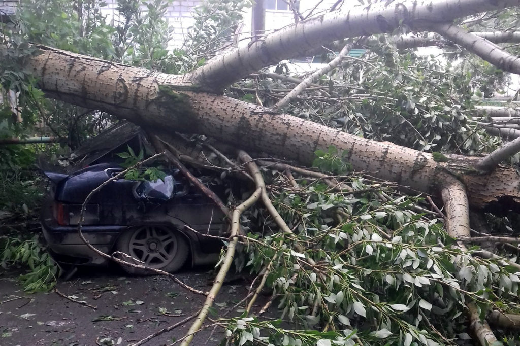 В Тверской области разбушевалась стихия