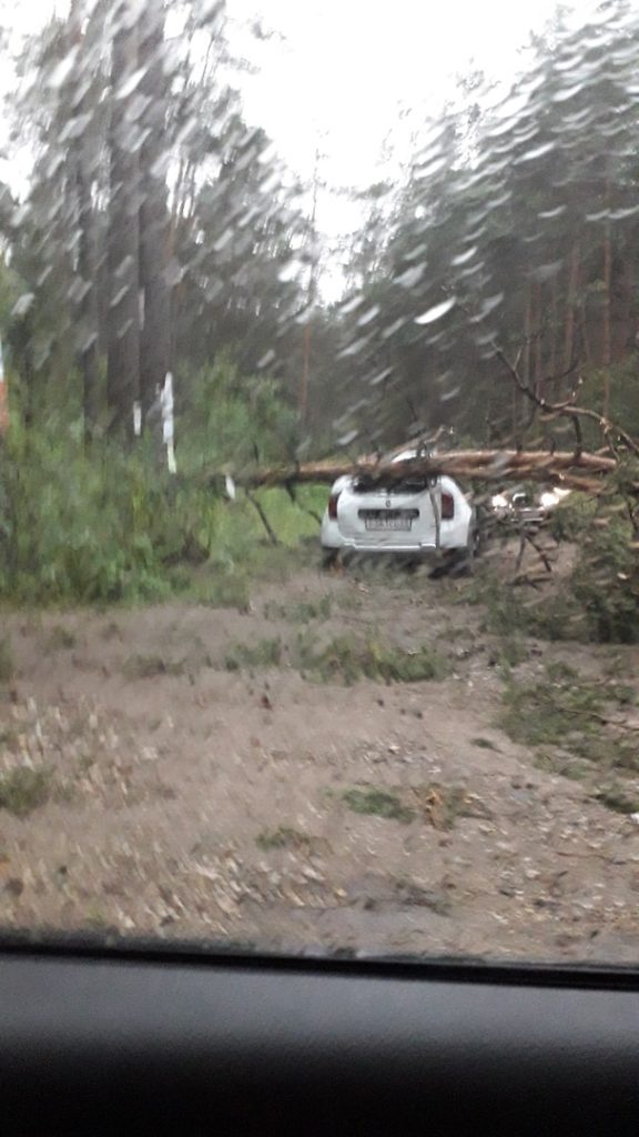 В Тверской области разбушевалась стихия