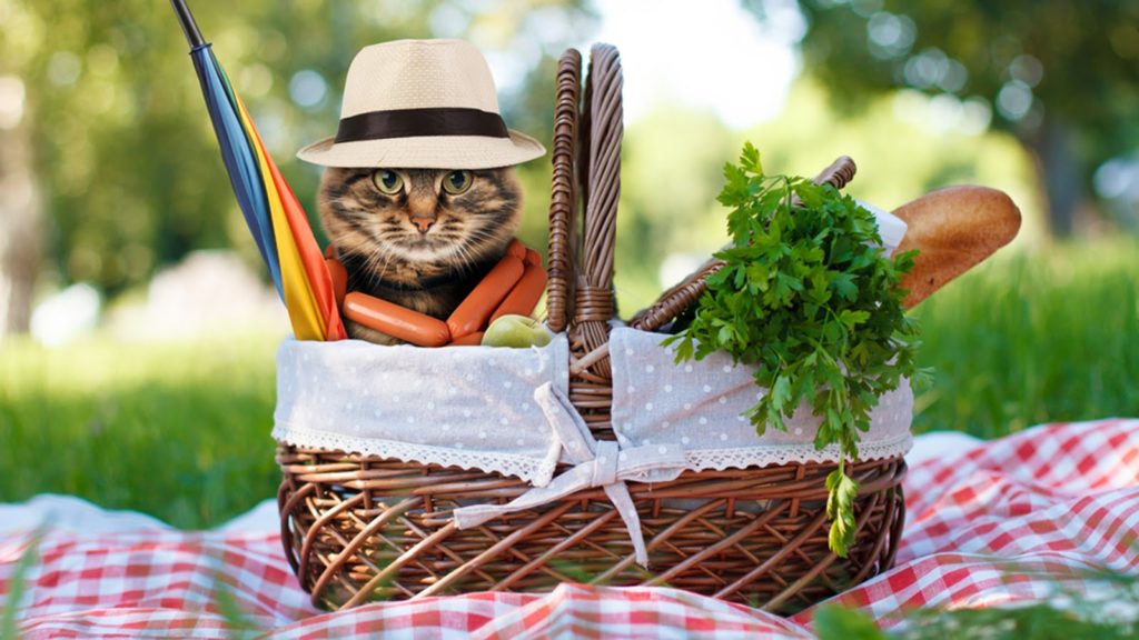 Памятка: как отдохнуть на природе и не навредить здоровью