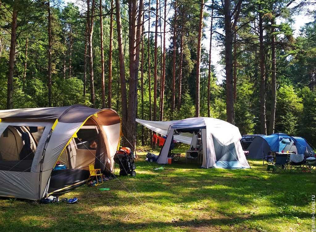 Тверская область в ТОП-10 популярных регионов для палаточного отдыха Тверская область в ТОП-10 популярных регионов для палаточного отдыха