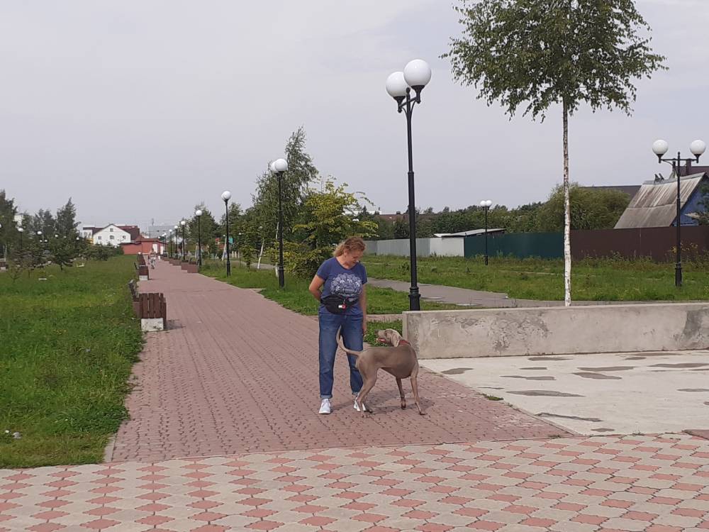 Жительница Твери научила собаку убирать мусор за людьми