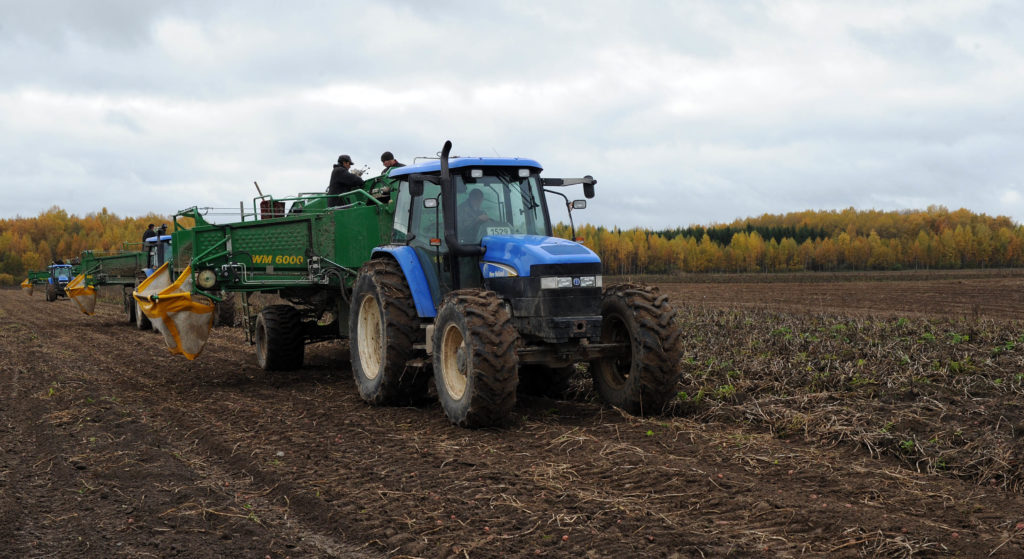 Сельское хозяйство стало инвестиционным лидером Тверской области