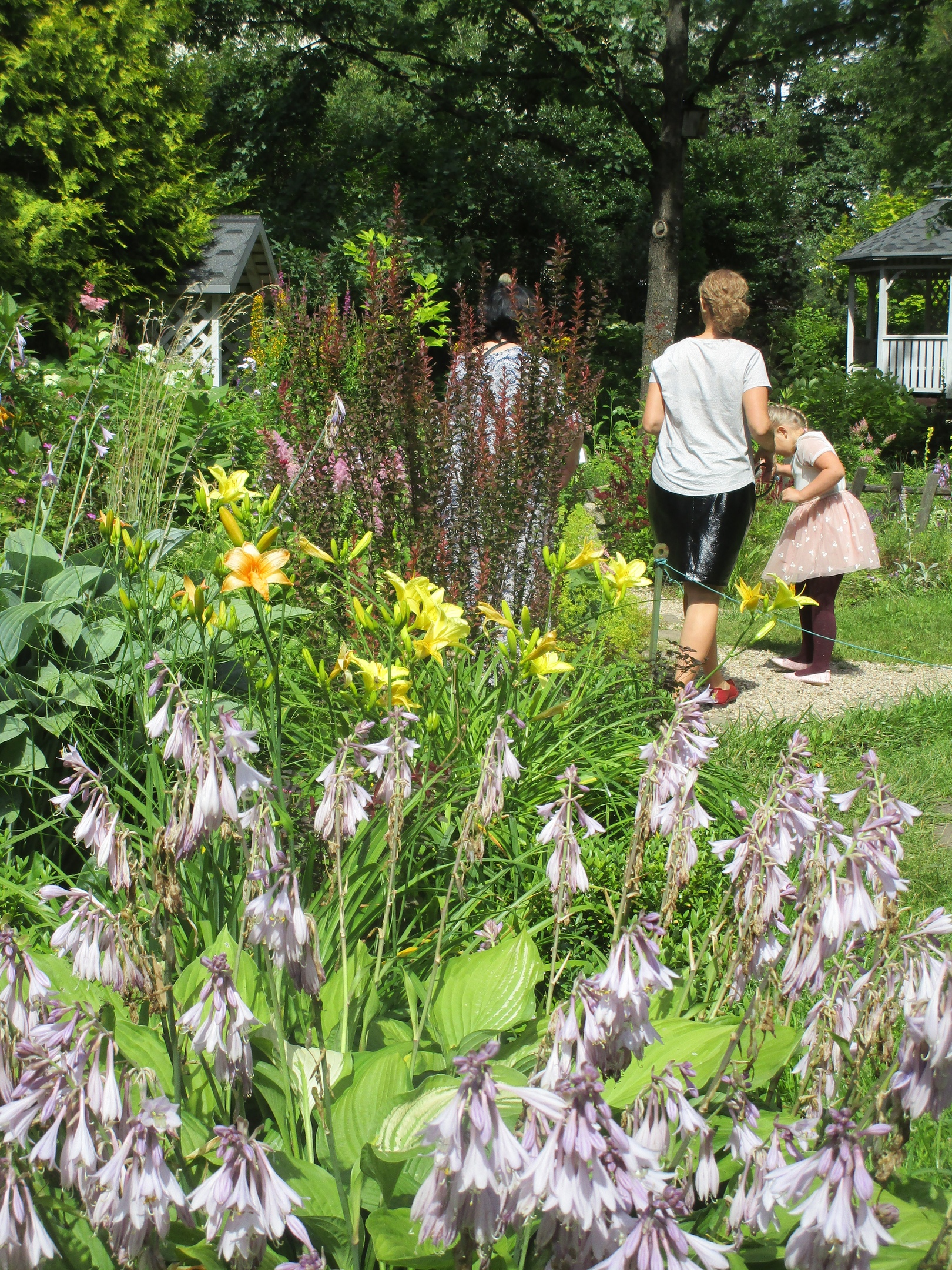 Восхитительные цветы распустились в тверском Ботаническом саду