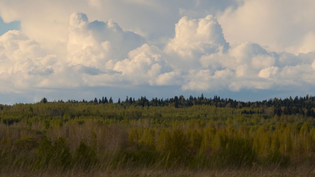 Таймлапс видео дождей в Тверской области опубликовали оператор любитель