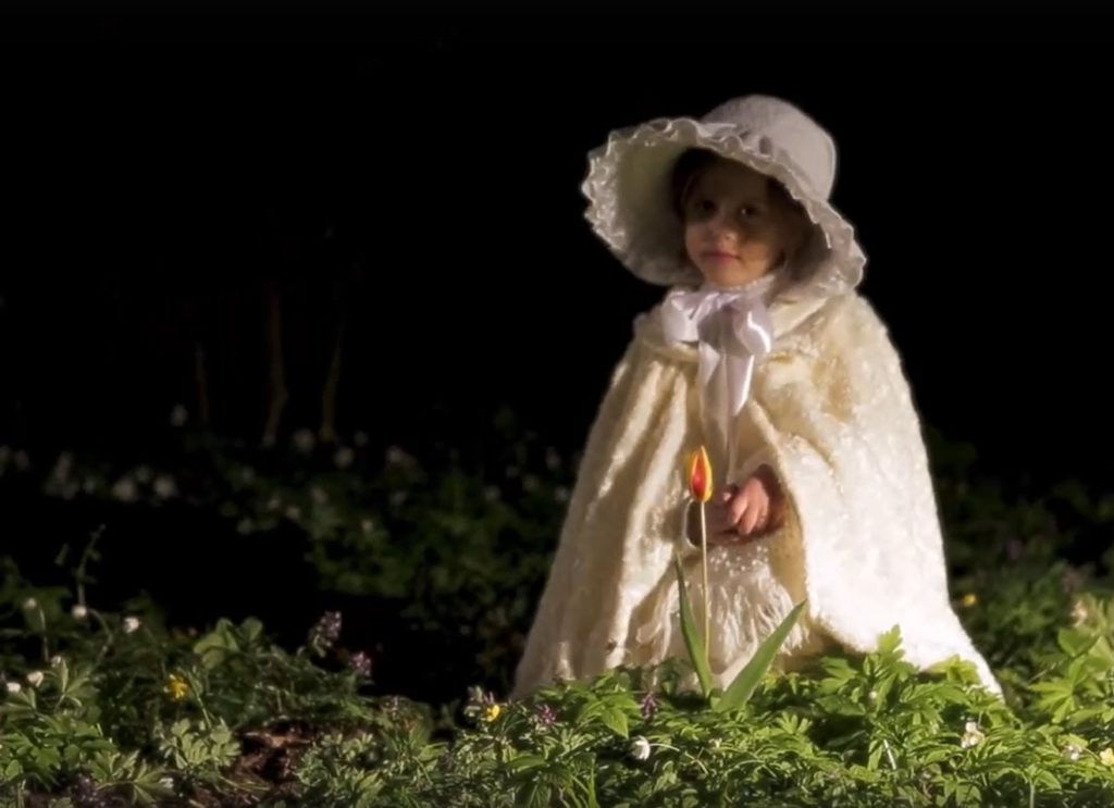 Музыкальную сказку-гимн о тверском Ботаническом саде исполнил известный музыкант