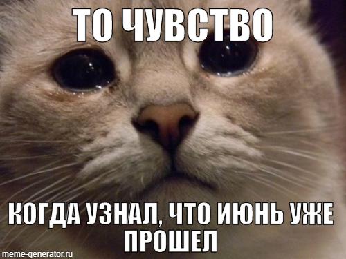 Мемы про июль: вжух, и второй месяц лета пришёл