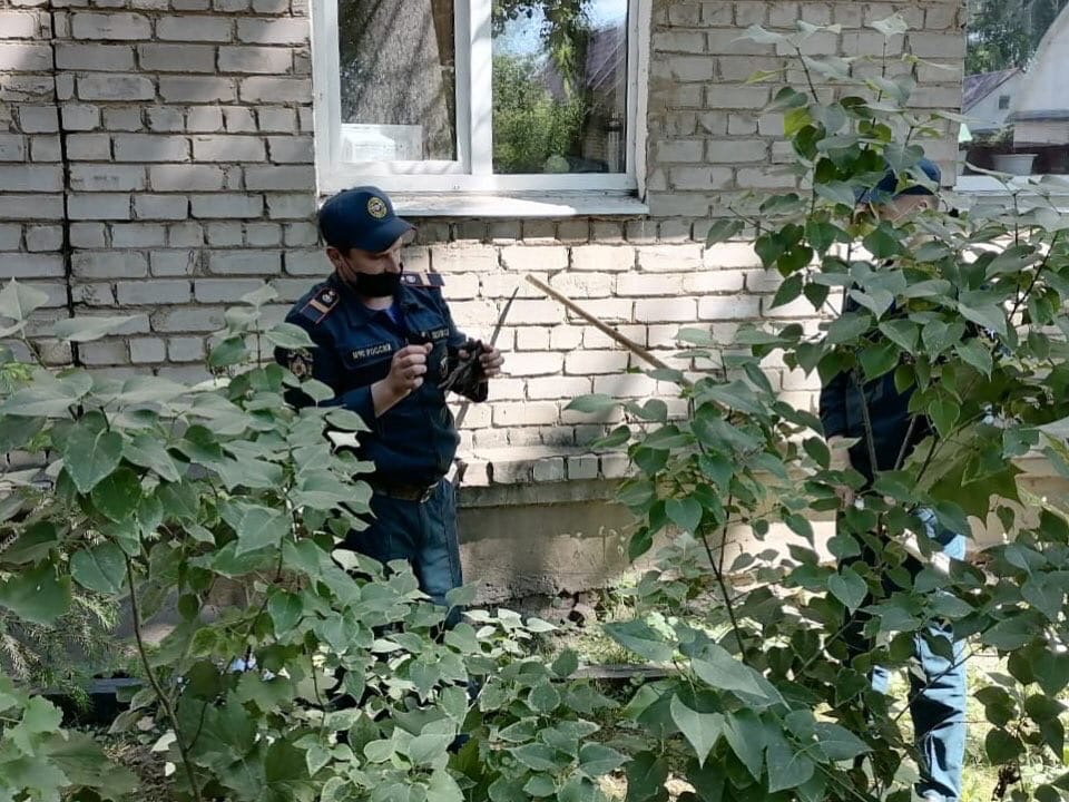 Пожарные спасли птичку в Тверской области