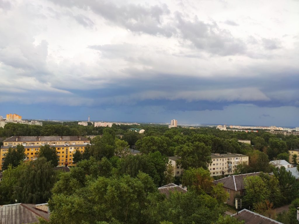 Штормовой ветер и грозу ожидают в Тверской области