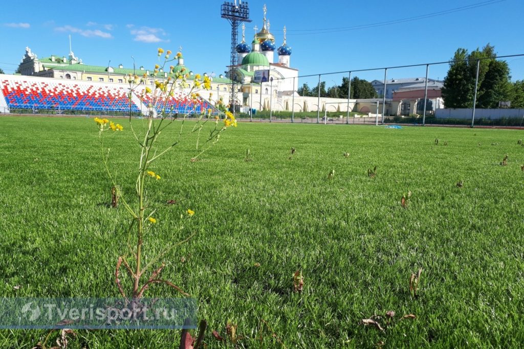 На стадионе "Химик" в Твери может появиться новое поле с подогревом
