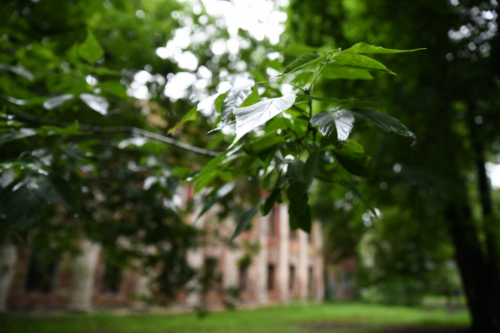 Современную культурную и туристическую площадку сделают из парка Воксал в Твери
