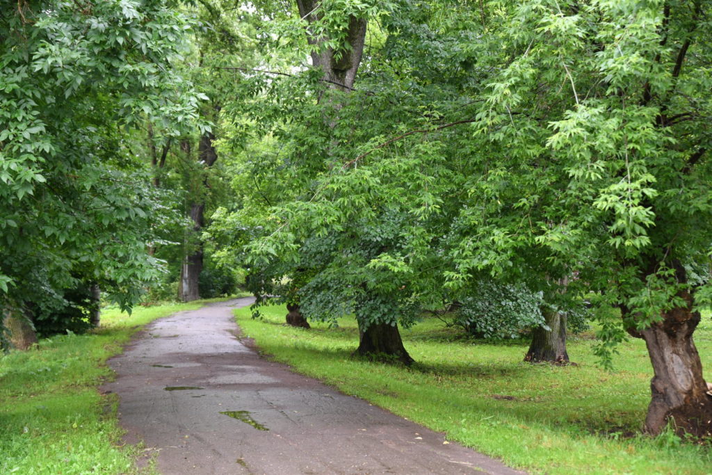 Современную культурную и туристическую площадку сделают из парка Воксал в Твери