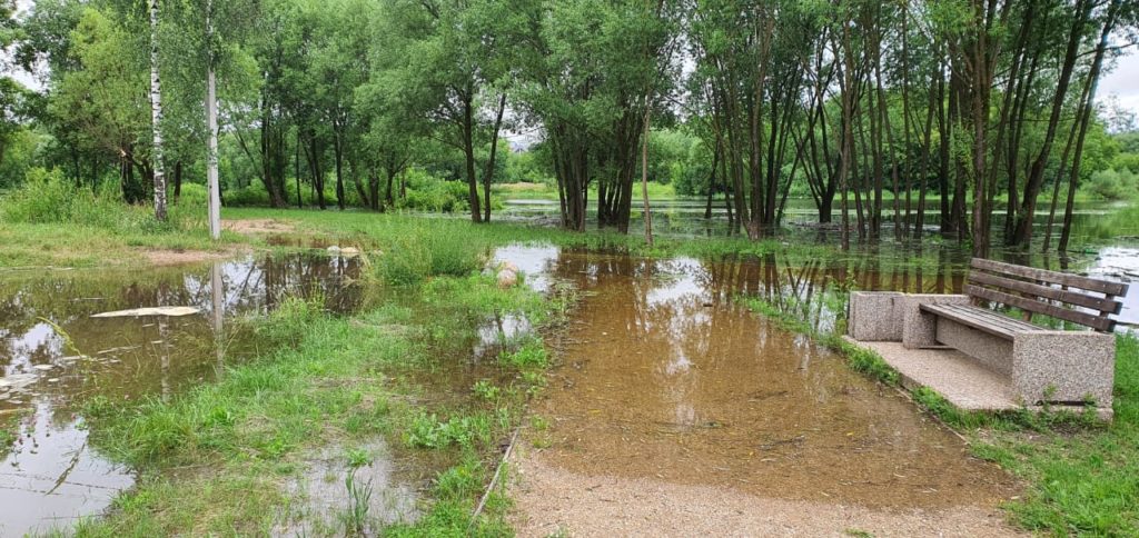 В Твери затопило ландшафтный парк Тьмака