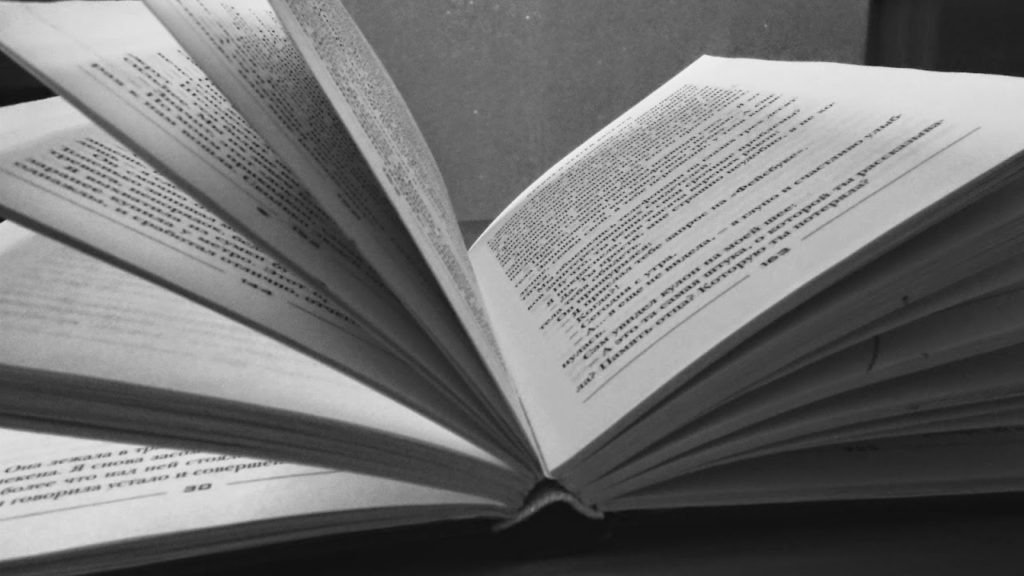 Книжный обзор: История, полицейская профессия и повод для знакомства