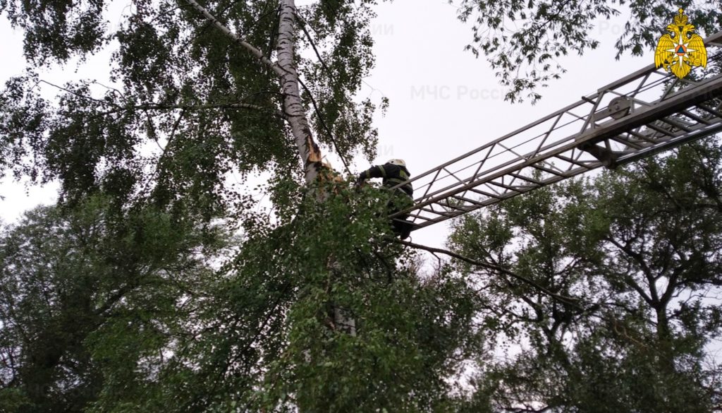 В Твери устраняют последствия стихии