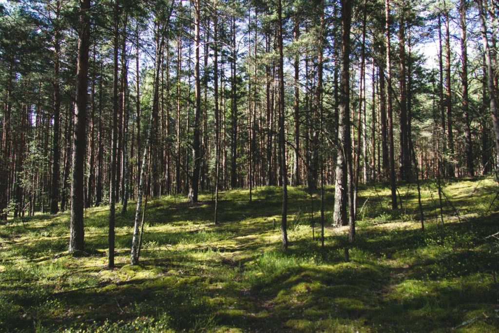 В Тверской области продлили противопожарный режим