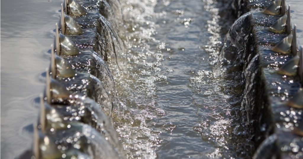 В Кесовой Горе планируют построить новые очистные сооружения В Кесовой Горе планируют построить новые очистные сооружения