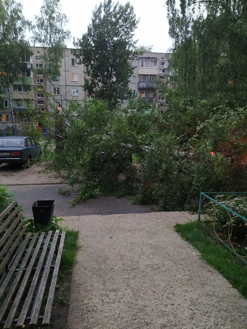 В Тверской области разбушевалась стихия