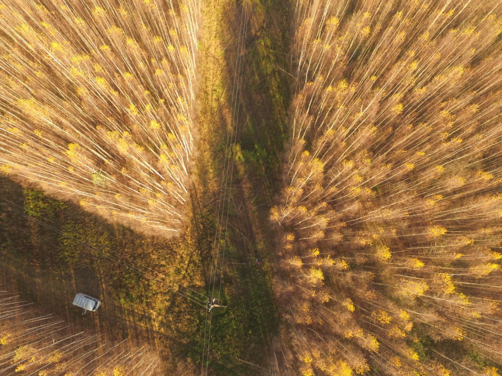 Филиал «Россети Центр Тверьэнерго» обезопасил высоковольтные линии в Тверской области