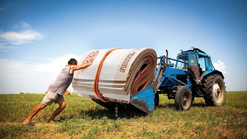 В Тверской области увеличили поддержку фермеров на грантовой основе через «Агростартапы» 