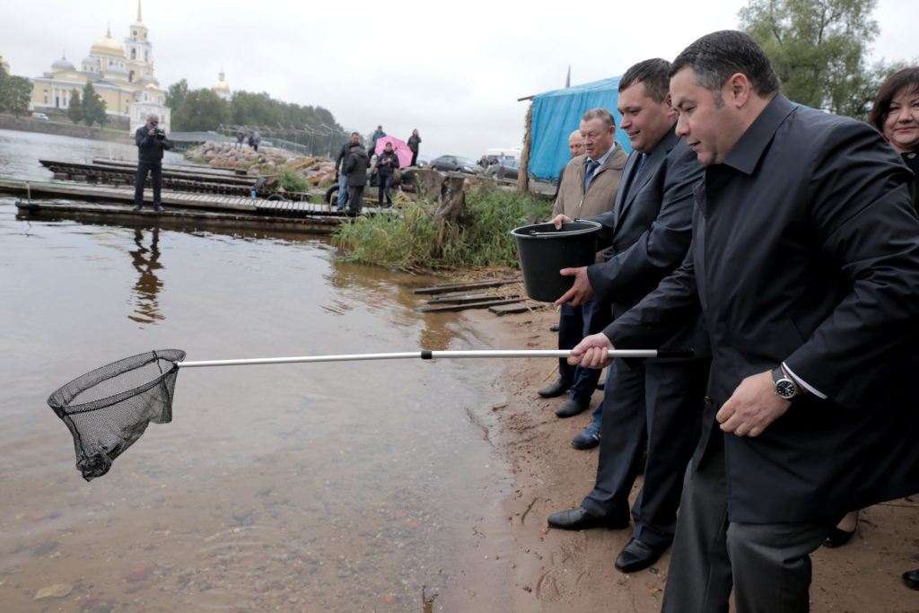 День рыбака: как в Тверской области кипит водная жизнь