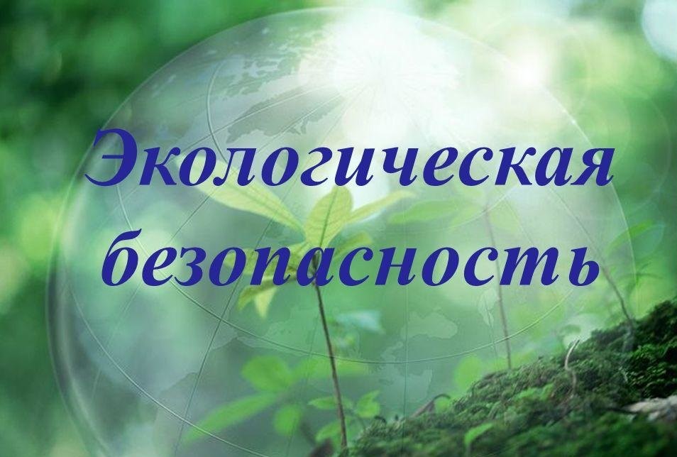 В Нелидовском районе обсудили экологическую безопасность В Нелидовском районе обсудили экологическую безопасность