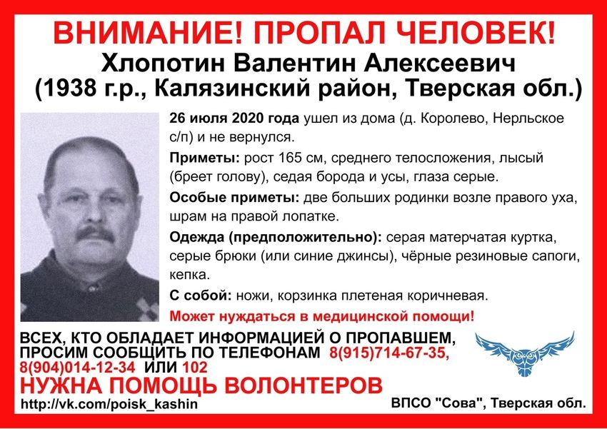 Пожилой грибник пропал в лесу в Тверской области