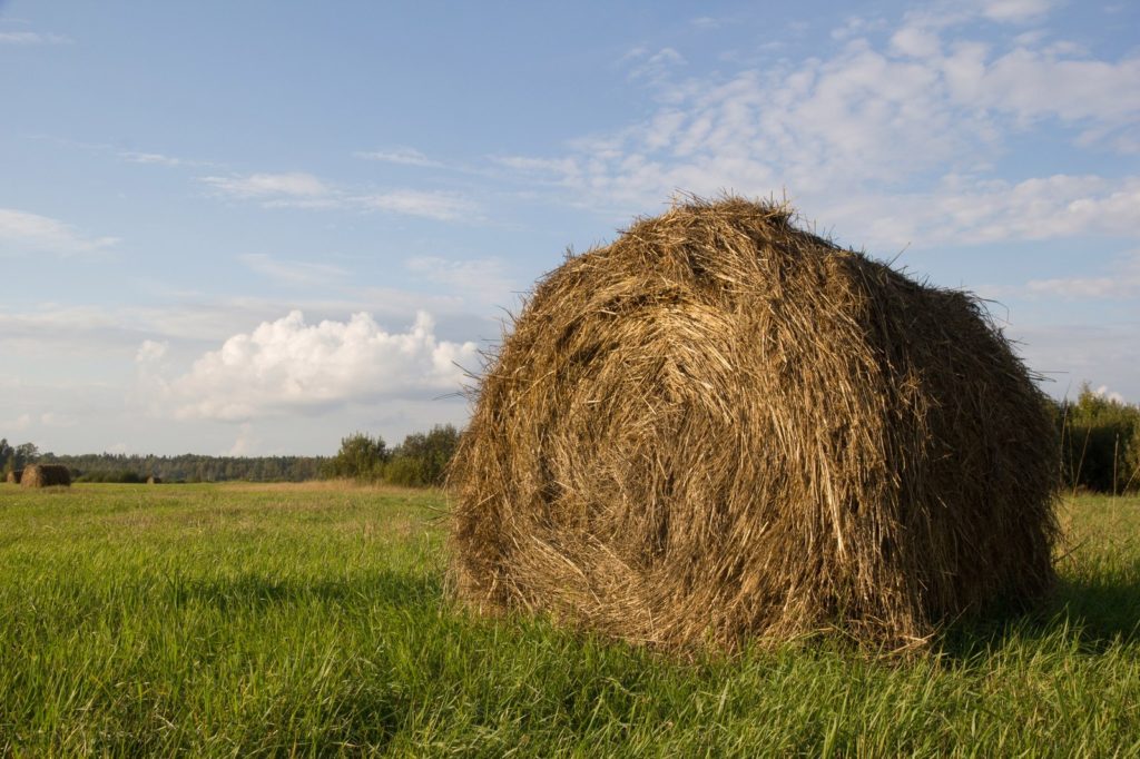 600 килограмм сена украл и продал предприимчивый мужчина из Тверской области