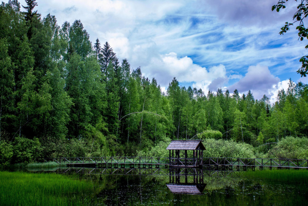 Молодежный клуб тверского отделения Русского географического общества приглашает в волонтерскую школу Молодежный клуб тверского отделения Русского географического общества приглашает в волонтерскую школу