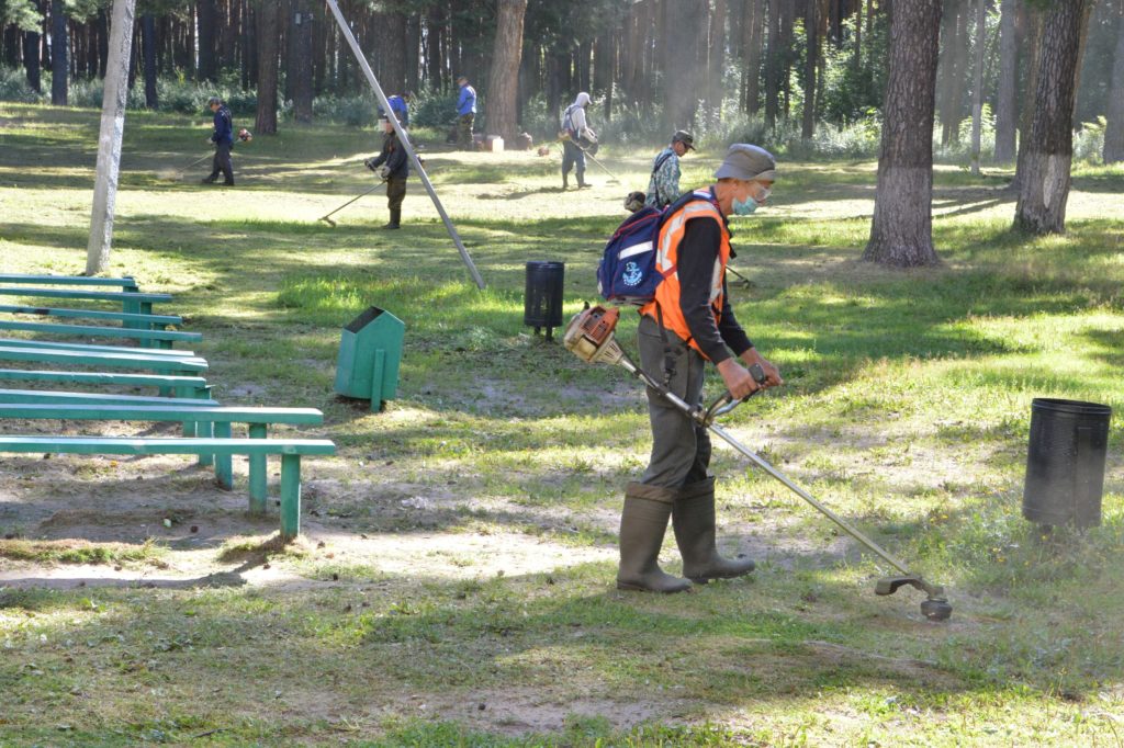 В Твери продолжается благоустройство зеленых зон