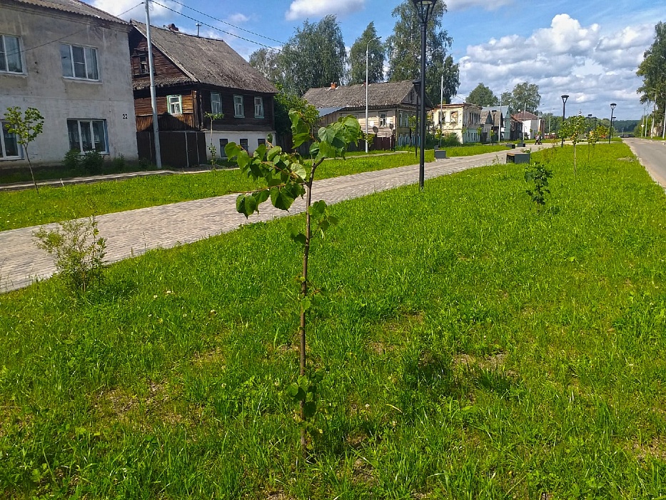 В Осташкове продолжаются работы по благоустройству В Осташкове продолжаются работы по благоустройству