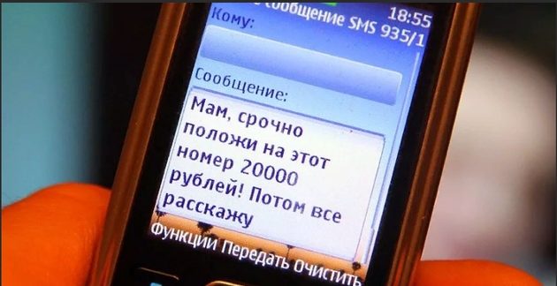 Жителям Тверской области рассказали, как не стать жертвой мошенников Жителям Тверской области рассказали, как не стать жертвой мошенников