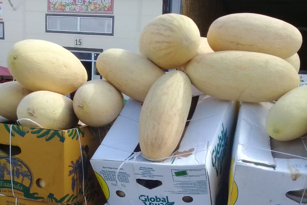 Арбузы, дыни и черешню продавали на оптово-розничной базе с нарушениями Арбузы, дыни и черешню продавали на оптово-розничной базе с нарушениями