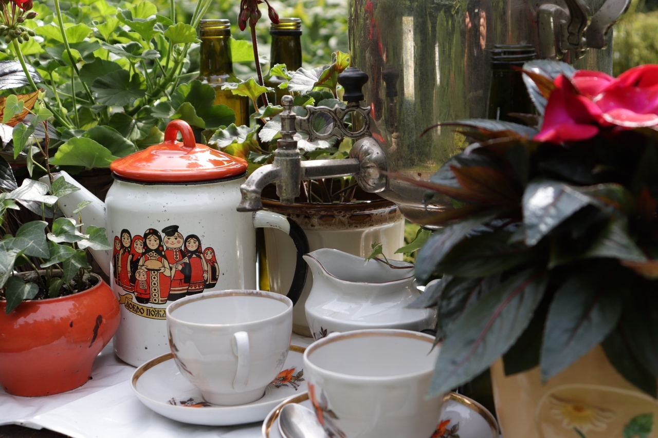 В тверском Ботаническом саду открыли самую трогательную выставку цветов