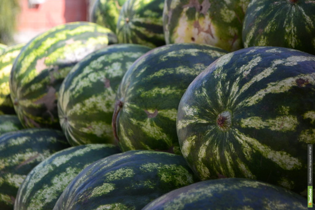 В Тверской области продавали подкарантинные арбузы В Тверской области продавали подкарантинные арбузы