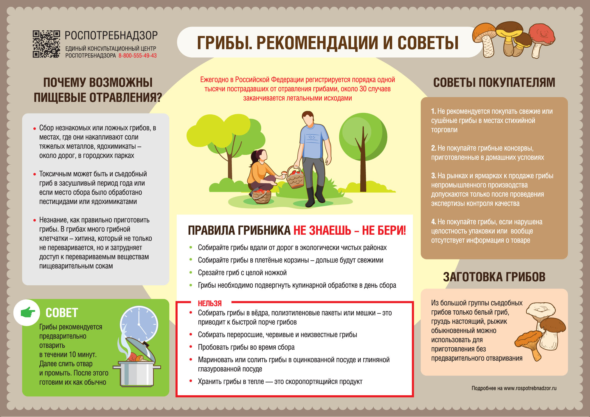Как правильно собирать грибы: советы Роспотребнадзора по Тверской области