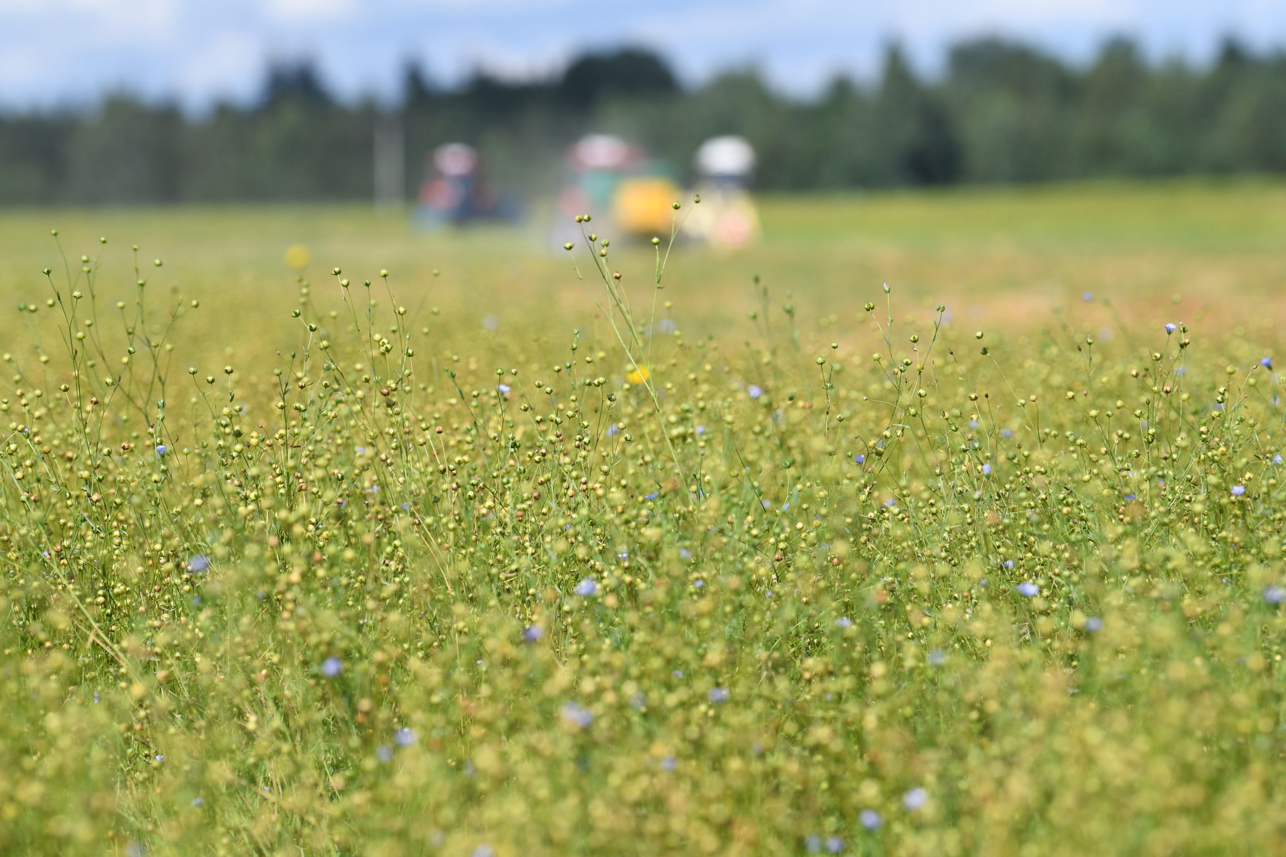 В Тверской области представили уникальный защитный льняной костюм для медиков